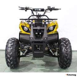 Квадроцикл GreenCamel Atakama T220 (48V 1000W R8 Дифференциал) пониженная