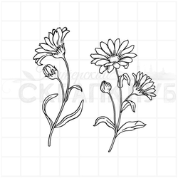 Штамп календула