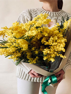 Охапка мимозы M