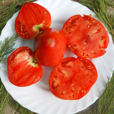 Томат Минусинские сердцевидные