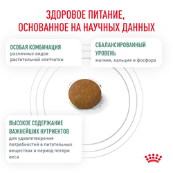 Royal Canin (Роял Канин) Satiety Weight Management Small Dogs сухой корм для собак мелких пород (до 10 кг) при ожирении, 500 г