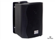 SVS Audiotechnik WS-20 Black (White) Громкоговоритель настенный, 20 Вт.