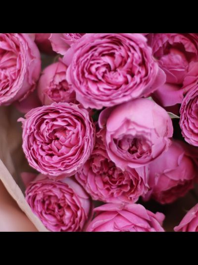 Букет &quot;Misty Bubbles&quot;