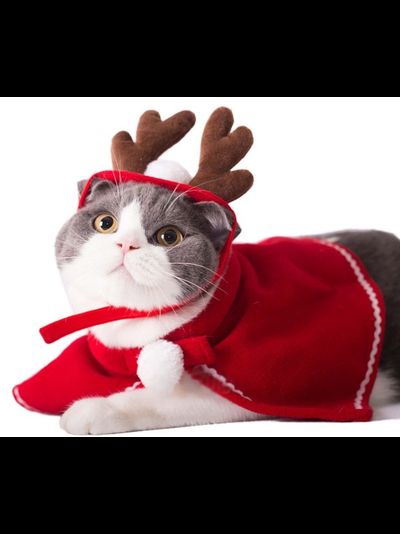 Рожки для собак и кошек