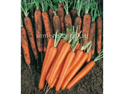 Морковь Сопрано F1 (0,5 г)