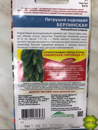 ПЕТРУШКА КОРНЕВАЯ "БЕРЛИНСКАЯ"