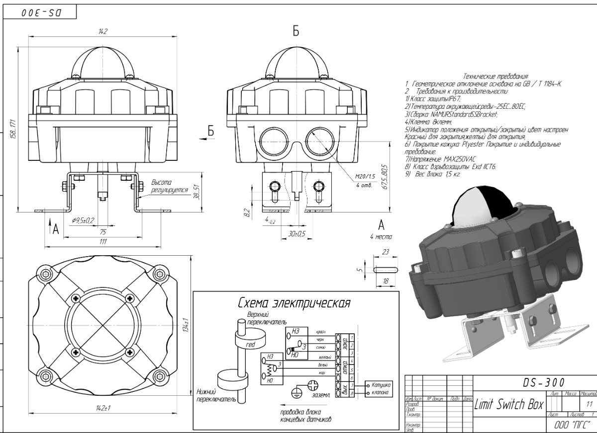 Габаритные и присоединительные размеры DS-300