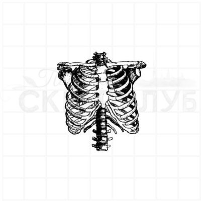 ФП штамп "Ребра" (а)