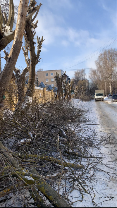 Кронирование веток