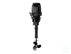 Лодочный мотор Parsun T9.9Pro BMS (18)