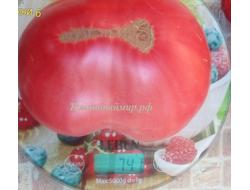 Томат Минусинский властелин