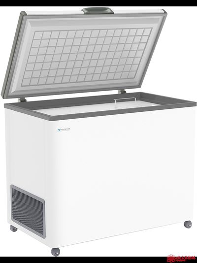 Ларь морозильный Frostor F 350 S