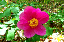 Треккинг тур на майские праздники