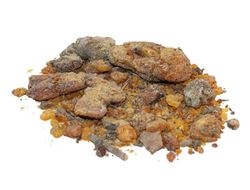 ПИНЬОН СОСНА СМОЛА