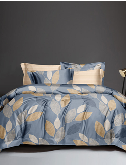 Постельное белье 2 спальное TANGO Dream Fly микросатин 180x210x1 220x245x1 70x70x2 DF02-524-70