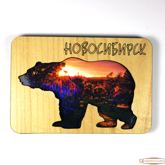 Магнит прорезной медведь