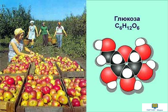 Химия. Органические соединения, слайд-комплект (20 слайдов)