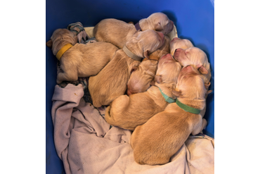 22.02.25 Малыши родились!