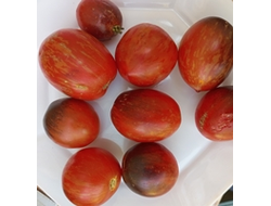 Томат Анто полосатый (Dwarf Striped Antho) США