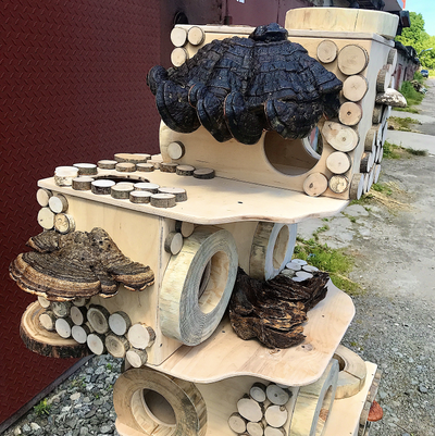 домик для кота, дом для кошки, кошачий домик, домик для животных, когтеточка для кошек, дом из спила