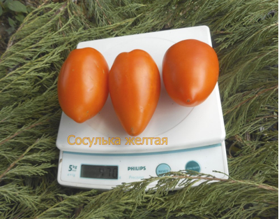 Томат Сосулька желтая