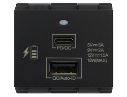 Зарядка USB тип A+C, 2 модуля T&J Electric Deco