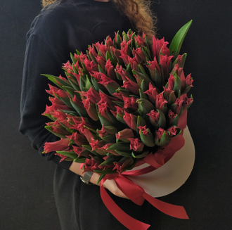 Коробка тюльпанов, 99 тюльпанов купить, 101 тюльпан в москве, красные тюльпаны в коробке, цветы