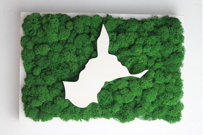 ЖИВАЯ ЭКО-КАРТИНА 1033