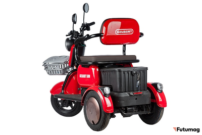 Электротрицикл Rutrike Gelbert Sun 48V/60V 650Вт красный