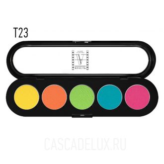 T23 Make-up Atelier Paris, Тени палитра 5 цветов
