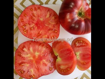 Томат Лазурный гигант (Azure Giant)