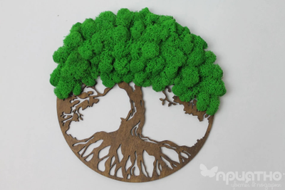 ЖИВАЯ ЭКО-КАРТИНА 1025