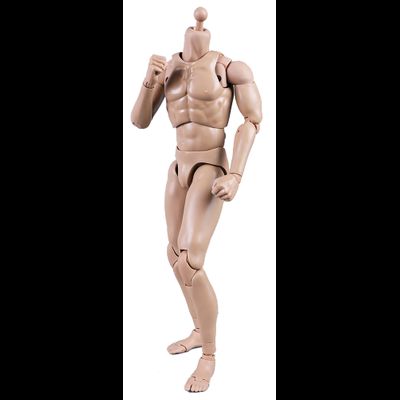 Тело без шеи с кистями и стопами - NEW TYPE STANDARD MALE BODY (MB001) - COOMODEL