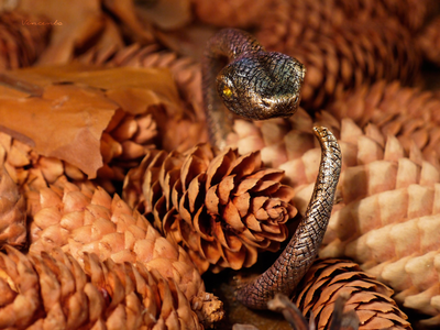 "Золотая Радужная Змейка", необычный браслет в осеннем стиле