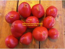 Томат немецкий розовый Йодера (Yoder's German Pink)