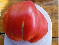 Томат Рабочий выпуск пасты (Work Release Paste)