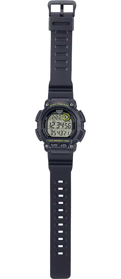 Часы Casio WS-2100H-8A