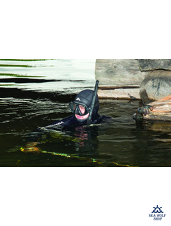 Маска для дайвинга Scorpena A чёрная