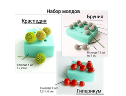 Набор молдов "Краспедия + Гиперикум + Бруния "