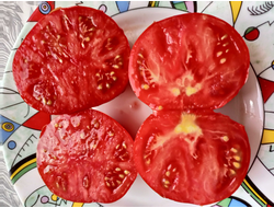 Томат Польская гордость Марджа (Marge’s Polish Pride) Канада