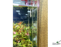 SwetAqua Glass bottom feeder 350 - стеклянная кормушка с трубкой для донных рыб