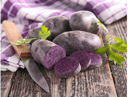 Картофель Перуанский фиолетовый