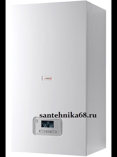 Настенный газовый одноконтурный котел Protherm Протерм Пантера
