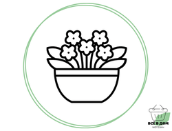 ФЛОРИСТИКА