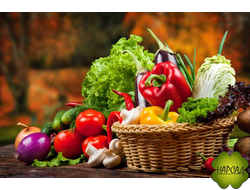 УДОБРЕНИЯ ДЛЯ ОВОЩЕЙ