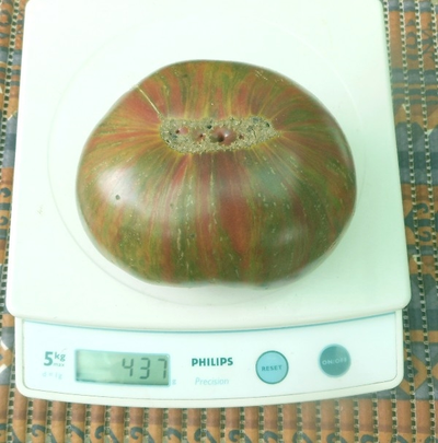 Томат Ананасовая зебра (Pineapple zebra)