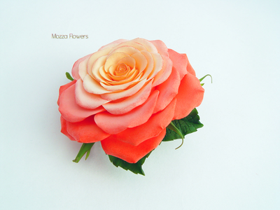 Брошь-заколка "Гармония".