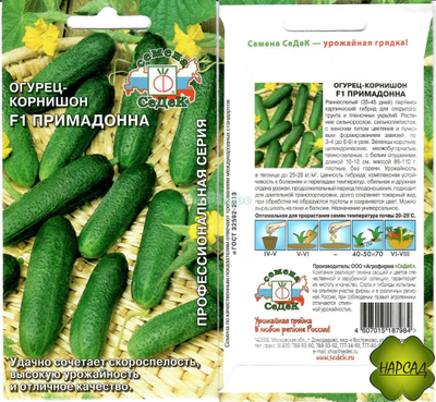 ОГУРЕЦ "ПРИМАДОННА F1" (не требует опыления, УРОЖАЙНЫЙ)