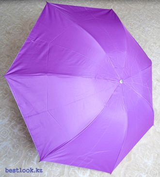 Пурпурный мини зонт
