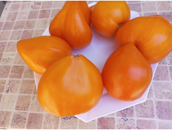 Томат Желтый клюв